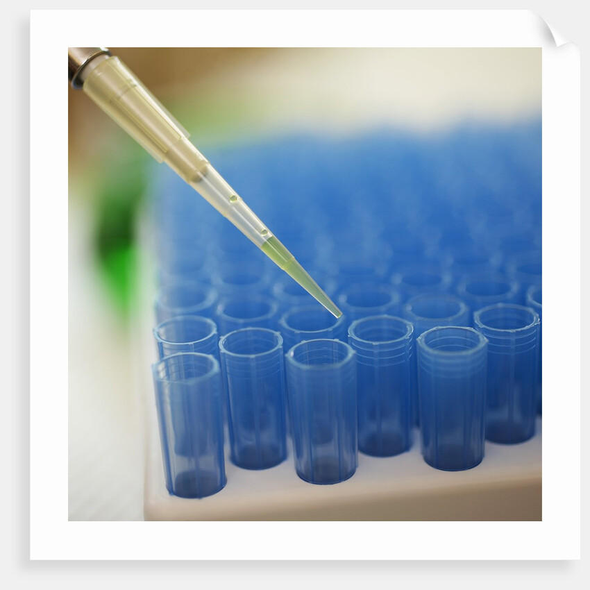 Test Tube Experiment by Anonymous