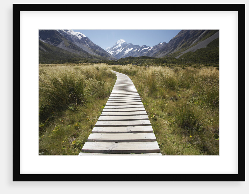 Wooden Path through Mount Cook National Park by Anonymous