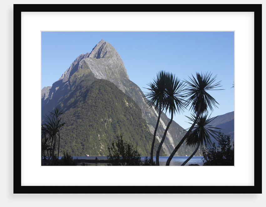 Mountains and Palm Trees Along Fjord by Anonymous