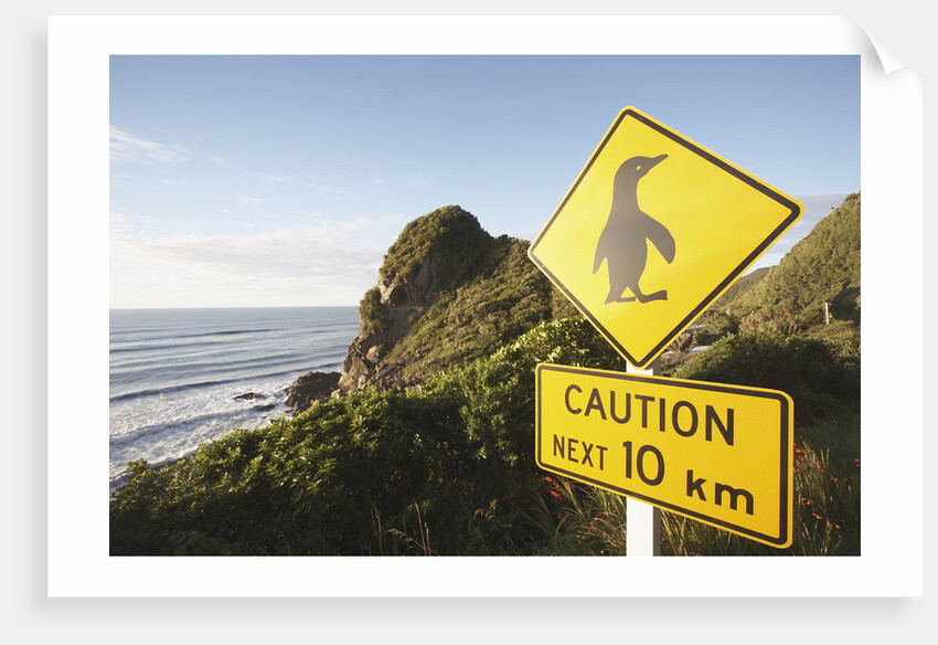 Penguin Crossing Sign by Anonymous