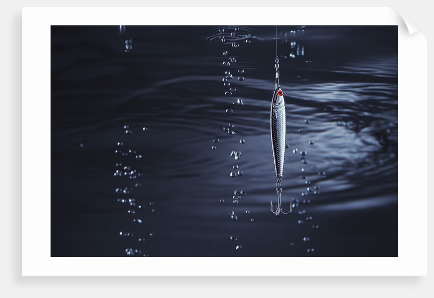 Fishhook by Anonymous