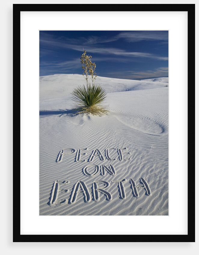 Peace On Earth Written in Sand by Anonymous