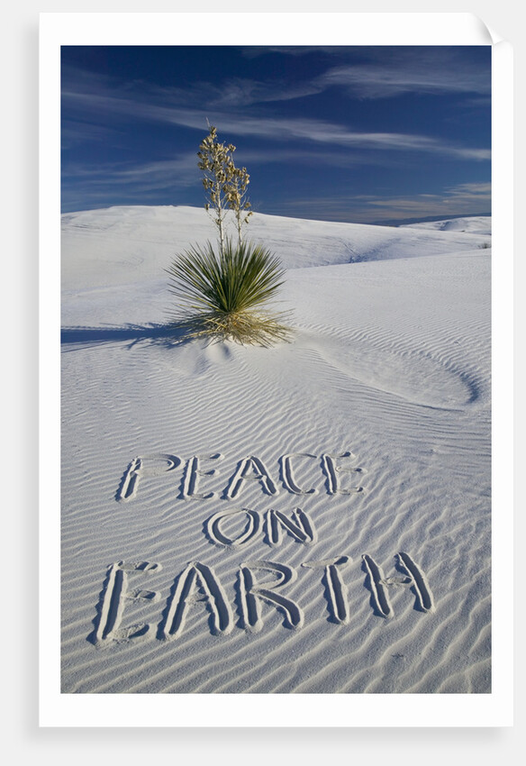 Peace On Earth Written in Sand by Anonymous