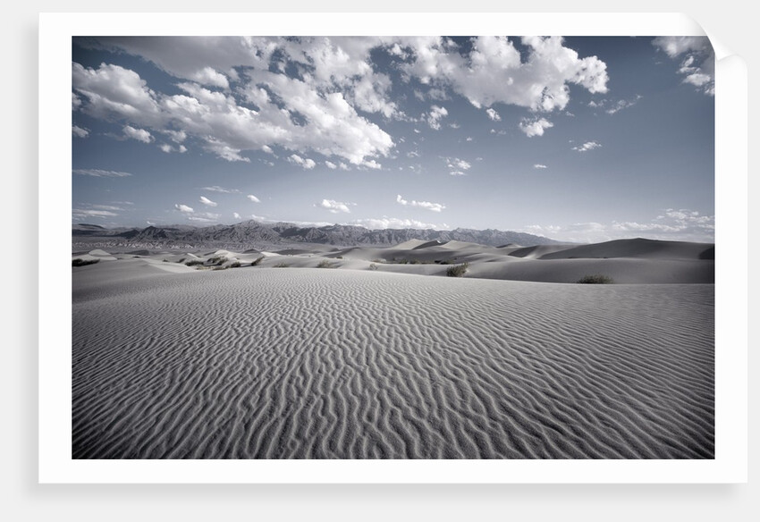 Sand Dunes by Anonymous