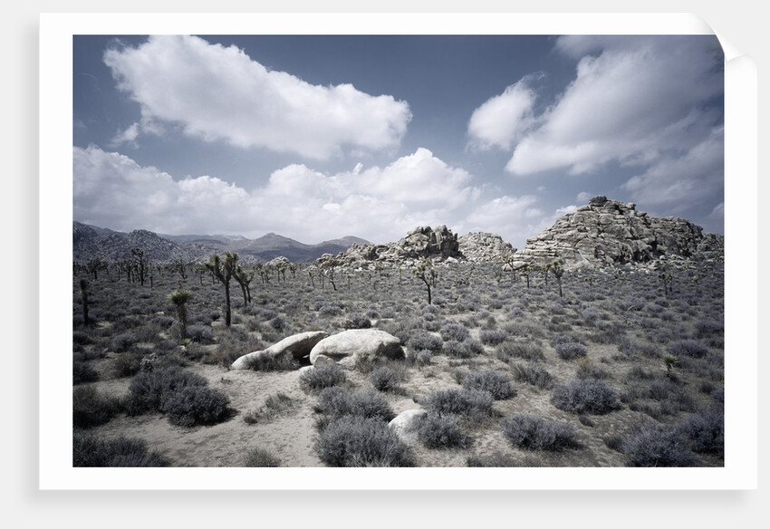 Scrubland and Rock Formations by Anonymous
