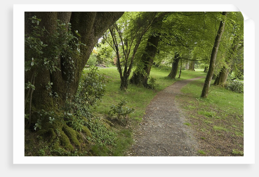 Woodstock Gardens and Arboretum by Anonymous