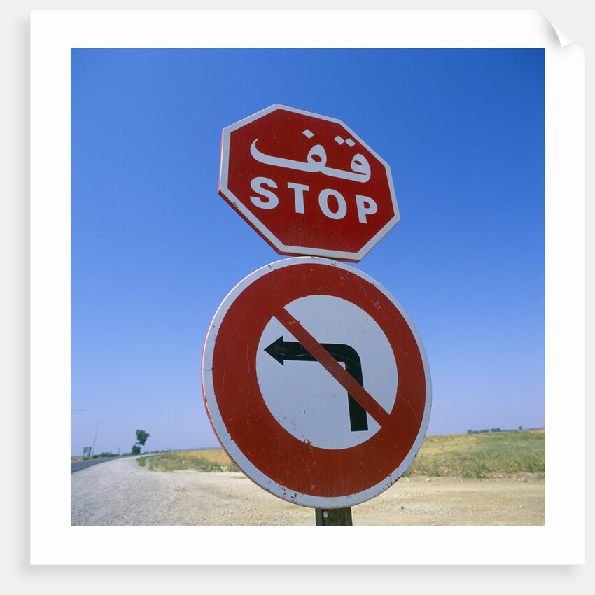 Stop and No Left Turn Signs by Anonymous