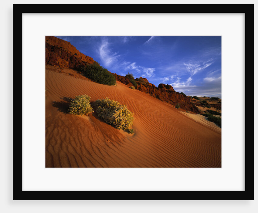 Red Sand Dunes by Anonymous