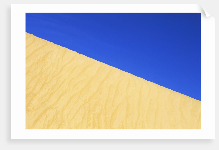 Sand Dune by Anonymous