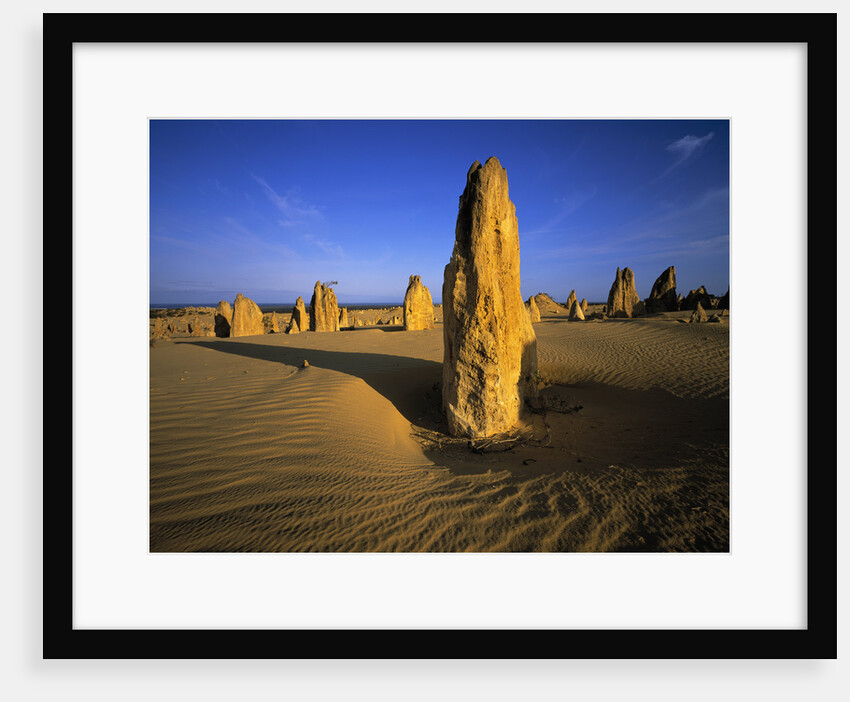 Limestone Pillars in Desert by Anonymous