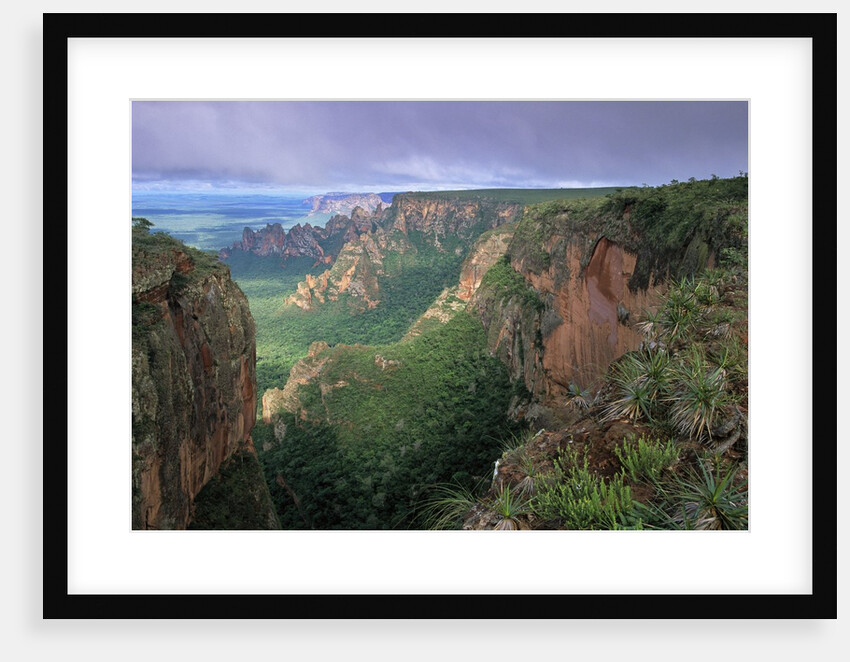 Chapada dos Guimaraes Mountain Range by Anonymous