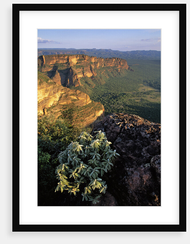 Chapada dos Guimaraes Mountain Range by Anonymous