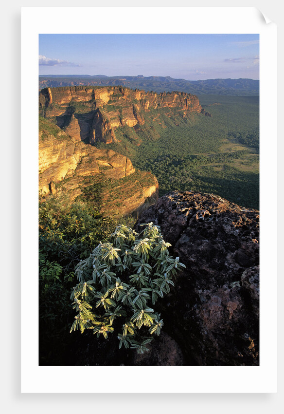 Chapada dos Guimaraes Mountain Range by Anonymous