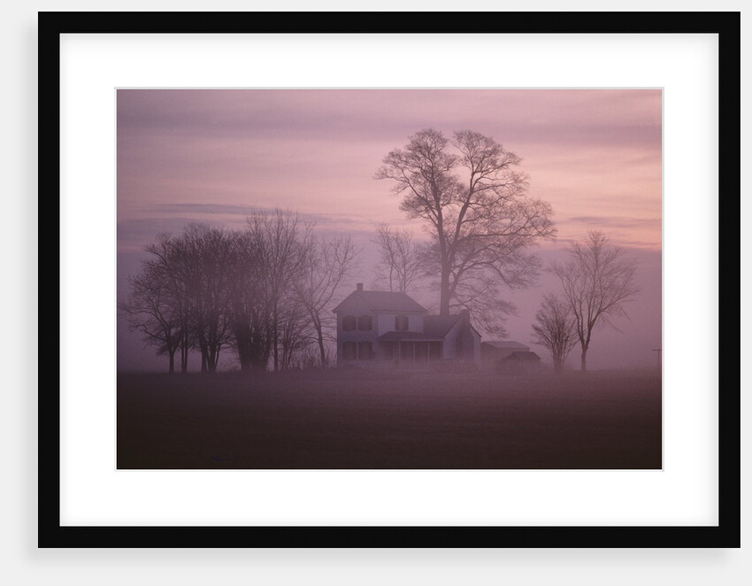 Fall Fog on Suffolk Virginia Farm by Anonymous