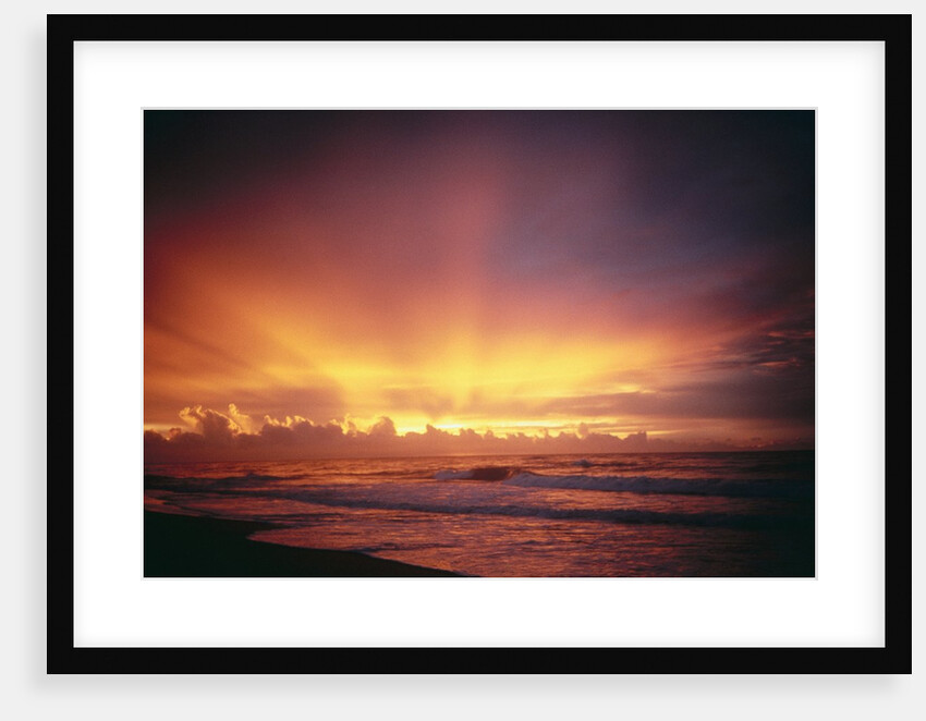 Sunset at the Sea by Anonymous