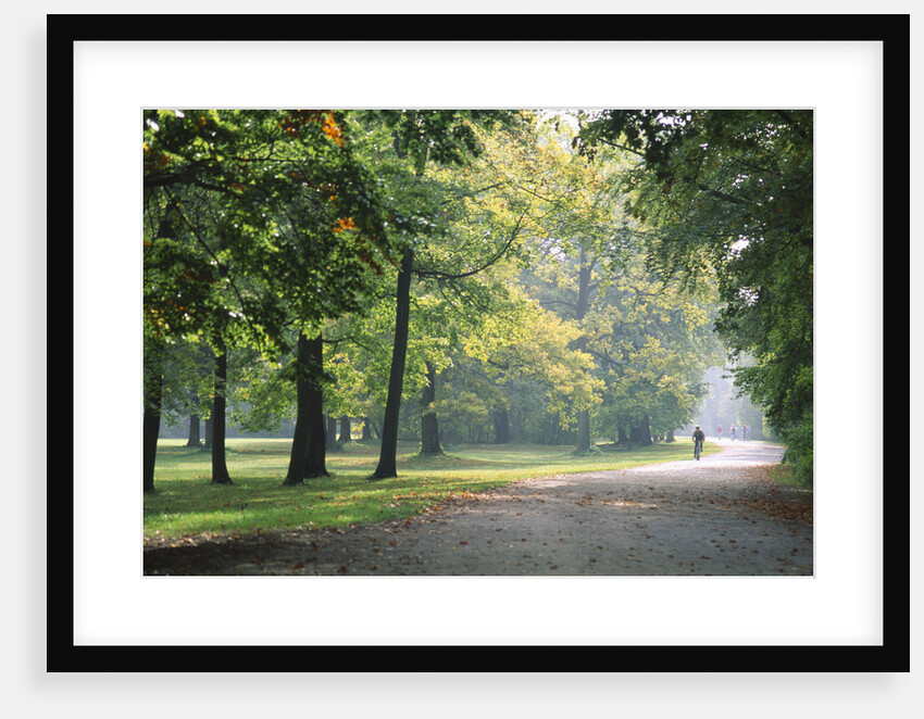 Englischer Garten in Munich by Anonymous
