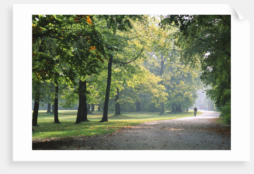 Englischer Garten in Munich by Anonymous