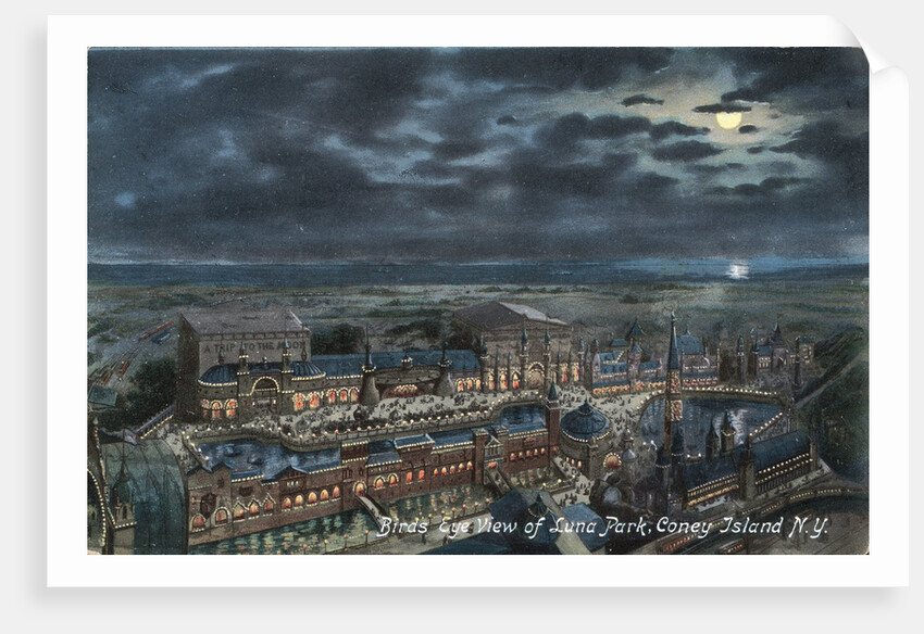Bird's Eye View of Luna Park by Anonymous