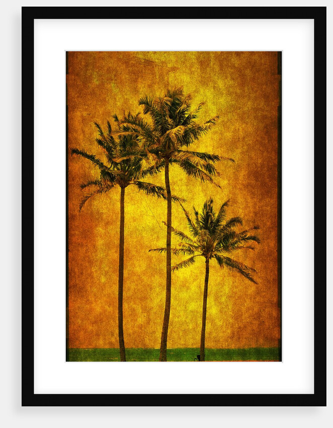 Three Palms by Doug Landreth