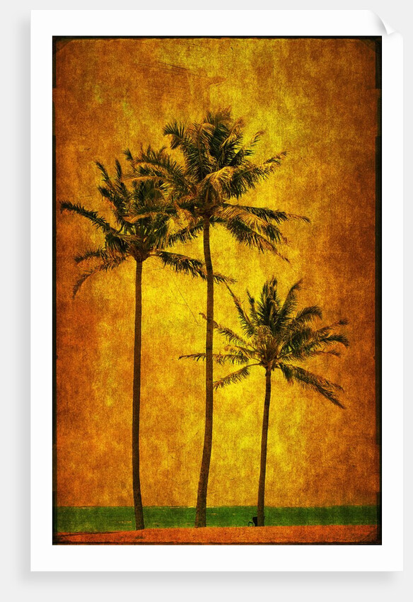 Three Palms by Doug Landreth