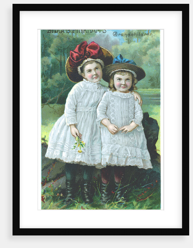 Lydia E. Pinkham's Grandchildren Postcard by Anonymous
