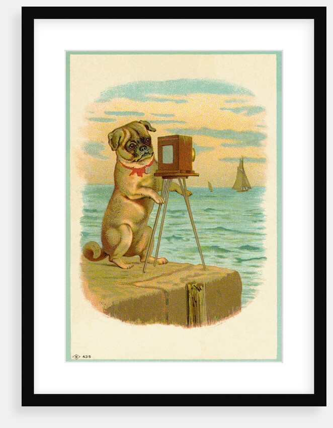 Postcard with a Pug and Camera by Anonymous