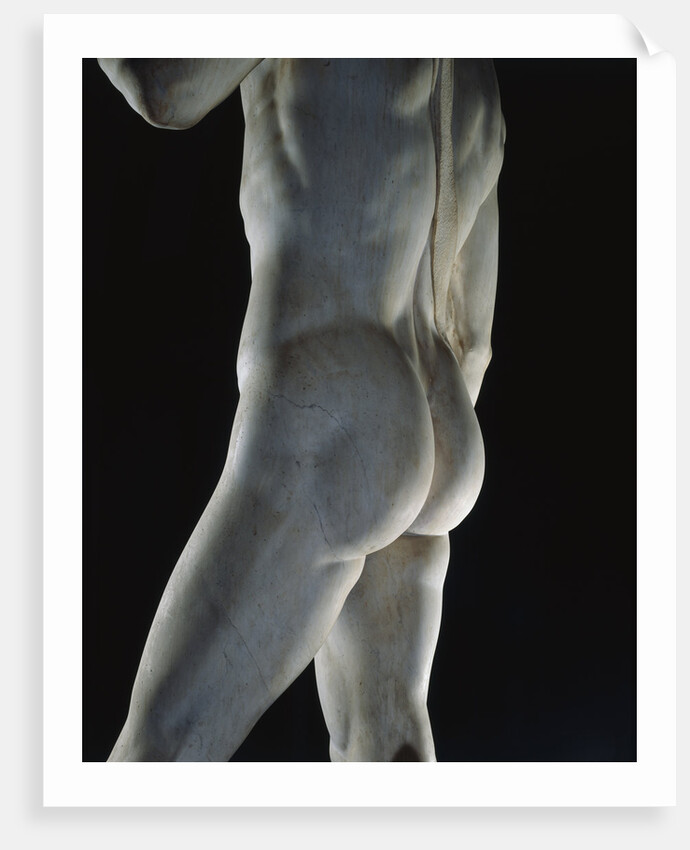 Detail of David by Michelangelo