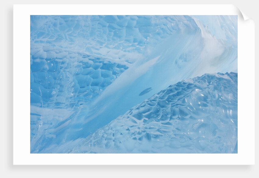 Neumayer Glacier on South Georgia Island by Anonymous