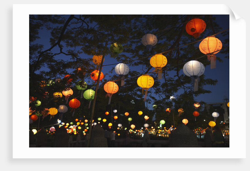 Paper Lanterns at Jangchung Park by Anonymous