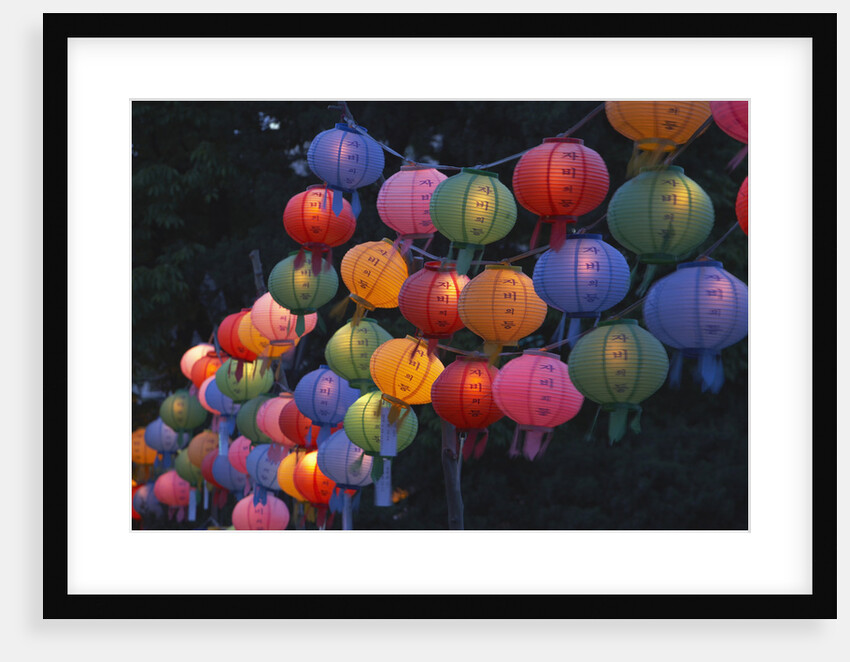 Paper Lanterns at Jangchung Park by Anonymous