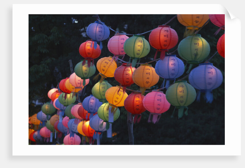Paper Lanterns at Jangchung Park by Anonymous