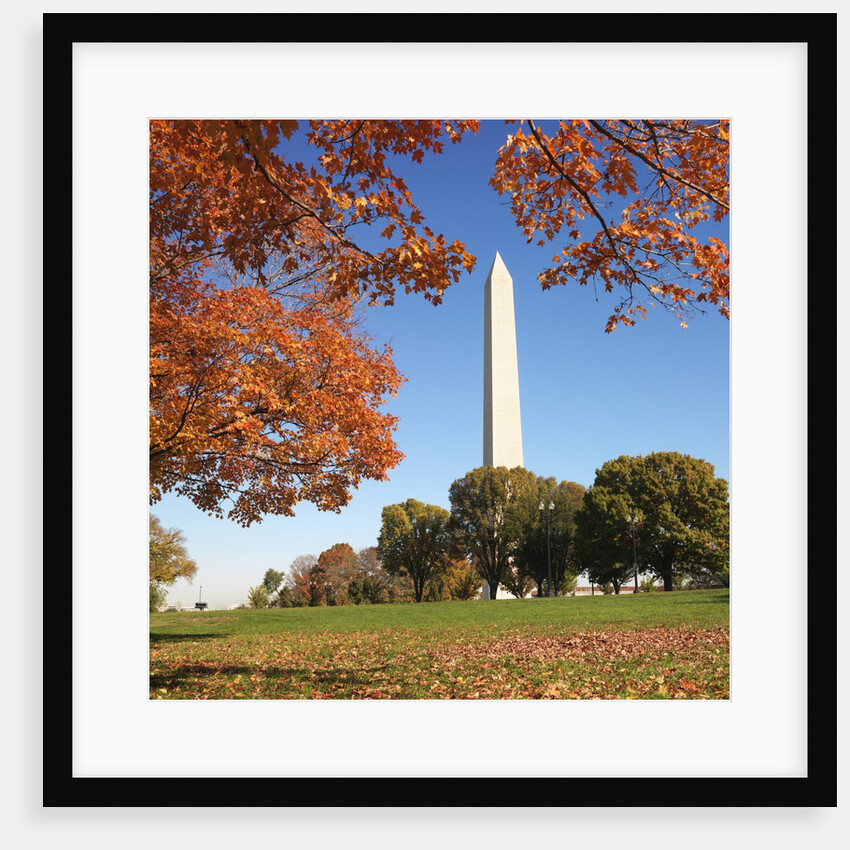 Washington Monument by Anonymous