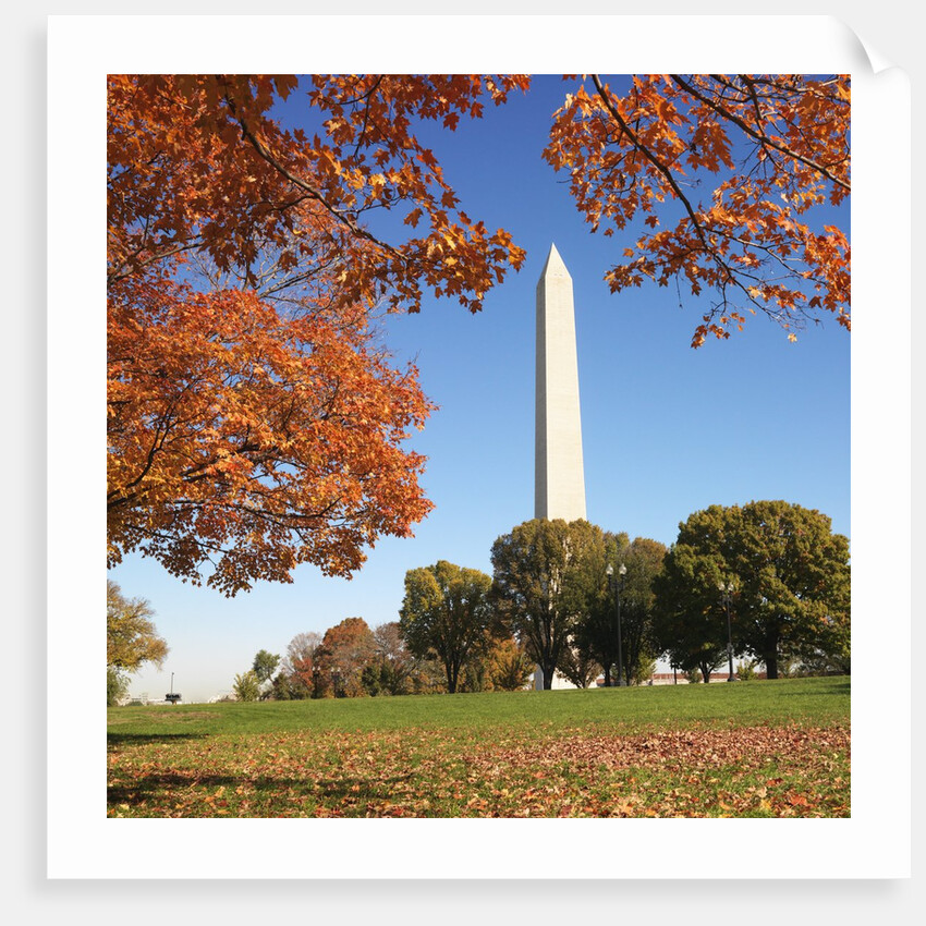 Washington Monument by Anonymous