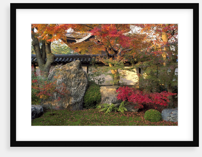 Autumn Foliage in Japanese Garden by Anonymous
