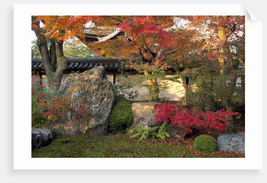 Autumn Foliage in Japanese Garden by Anonymous
