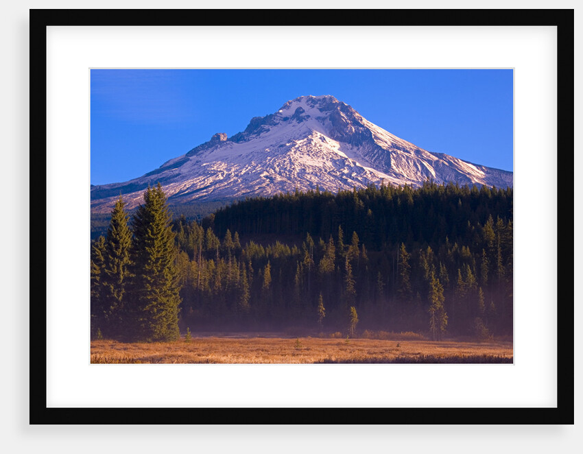 Mount Hood and National Forest by Anonymous