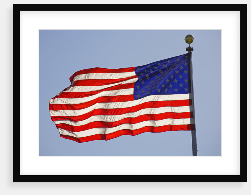American Flag on Flagpole by Anonymous