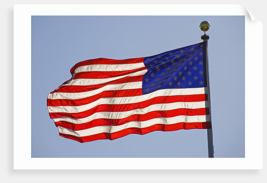 American Flag on Flagpole by Anonymous