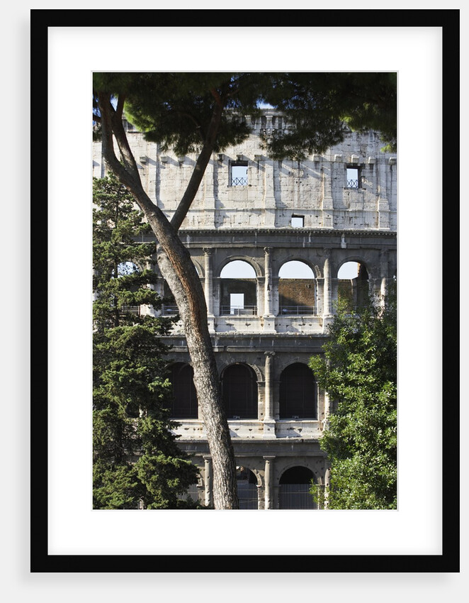 The Colosseum by Anonymous