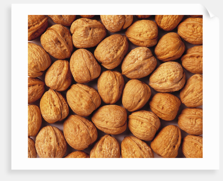 Walnuts by Anonymous