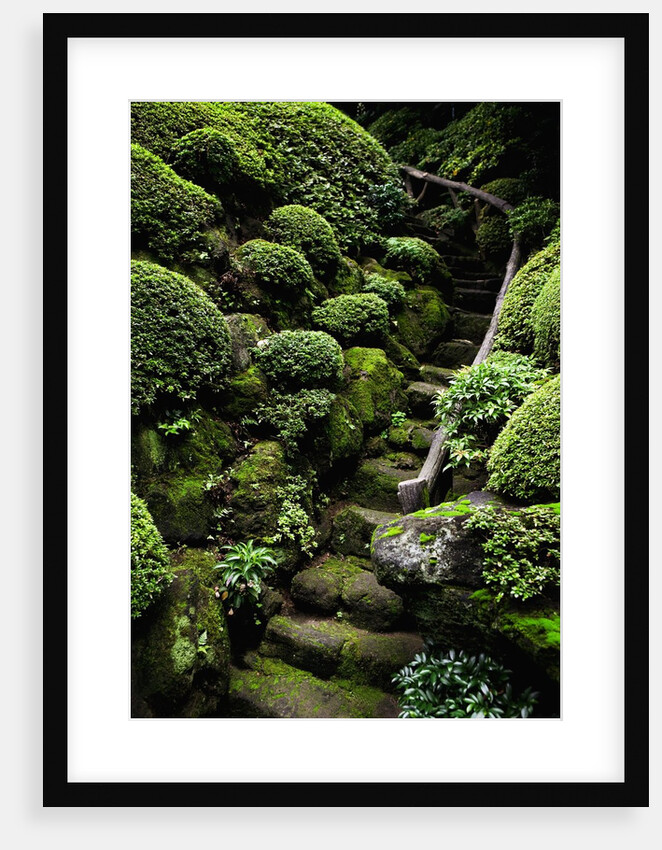 Footpath Through Garden by Anonymous
