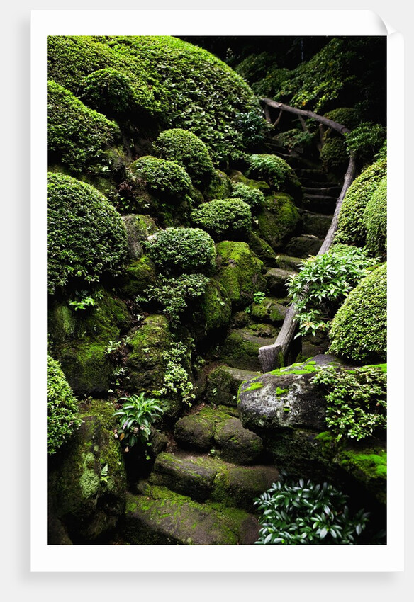 Footpath Through Garden by Anonymous