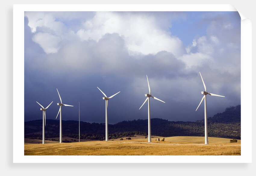 Wind Farm in Spain by Anonymous