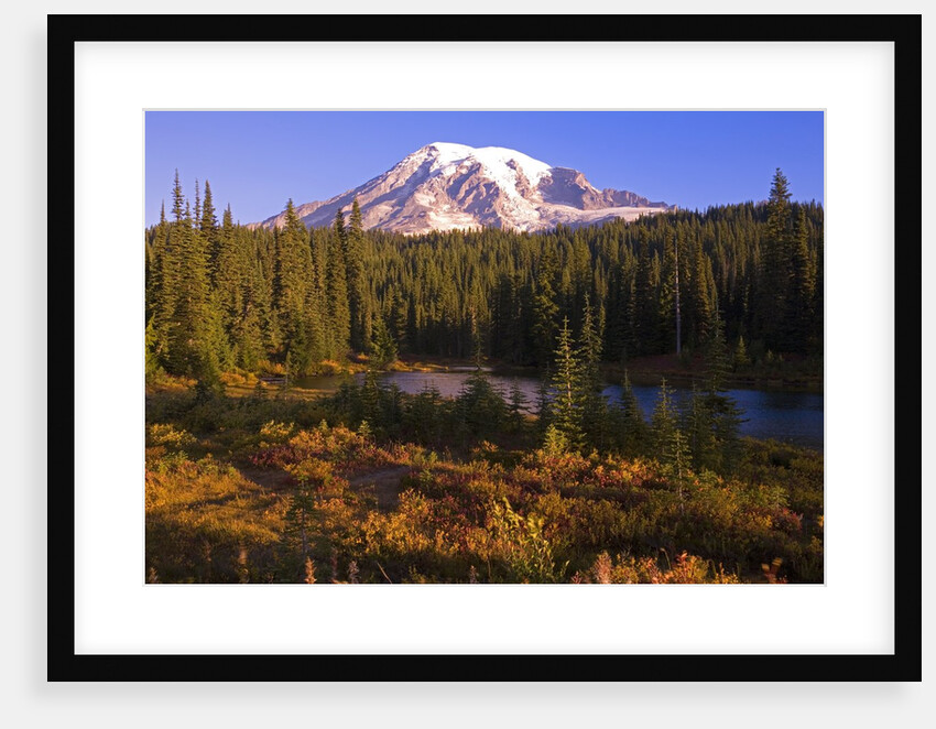Fall Colors and Alpine Lake near Mount Rainier by Anonymous