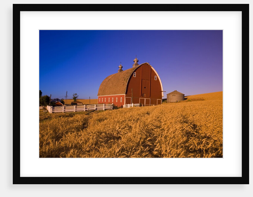Wheat Field and Barn at Sunrise by Anonymous