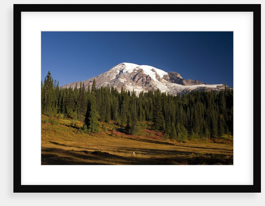 Fall Colors at Sunrise on Mount Rainier by Anonymous