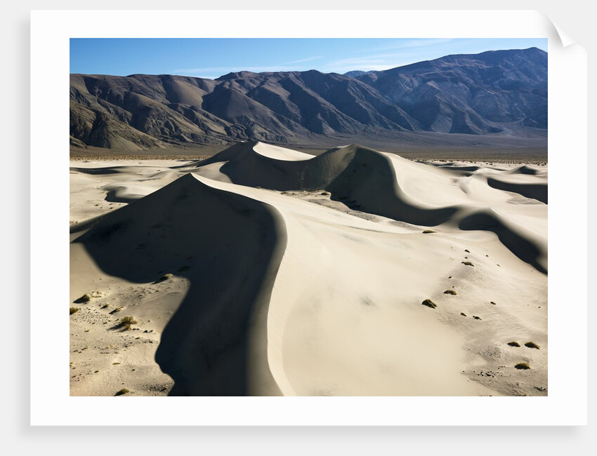 Sand Dunes by Anonymous