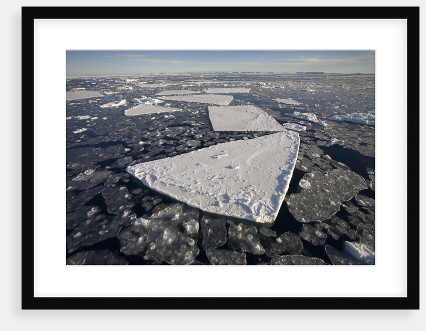 Pans of Ice in Weddell Sea by Anonymous
