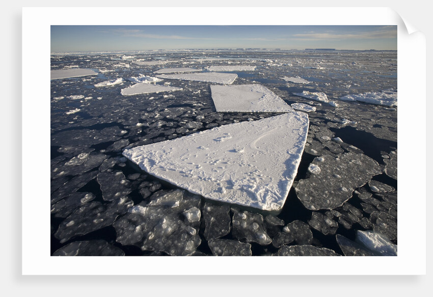 Pans of Ice in Weddell Sea by Anonymous