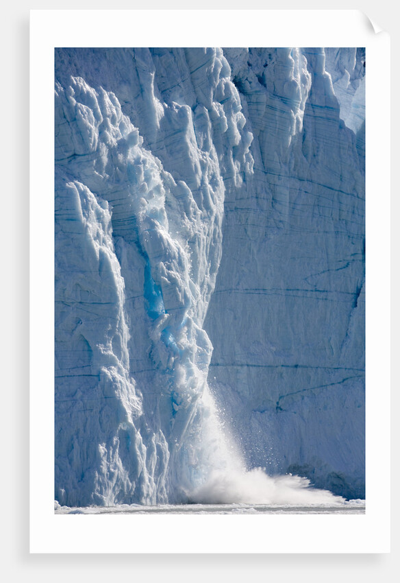 Icebergs Calving From Equip Sermia Glacier by Anonymous